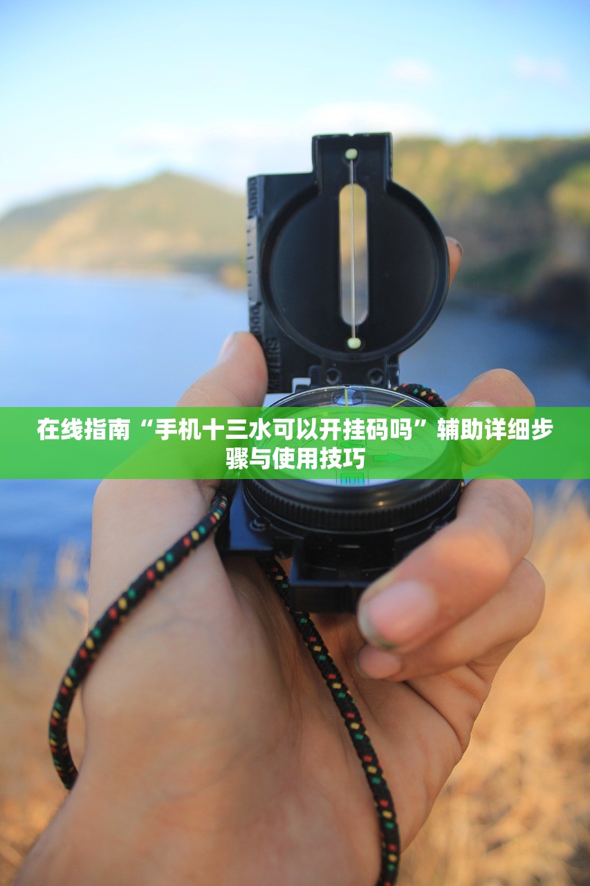 在线指南“手机十三水可以开挂码吗”辅助详细步骤与使用技巧