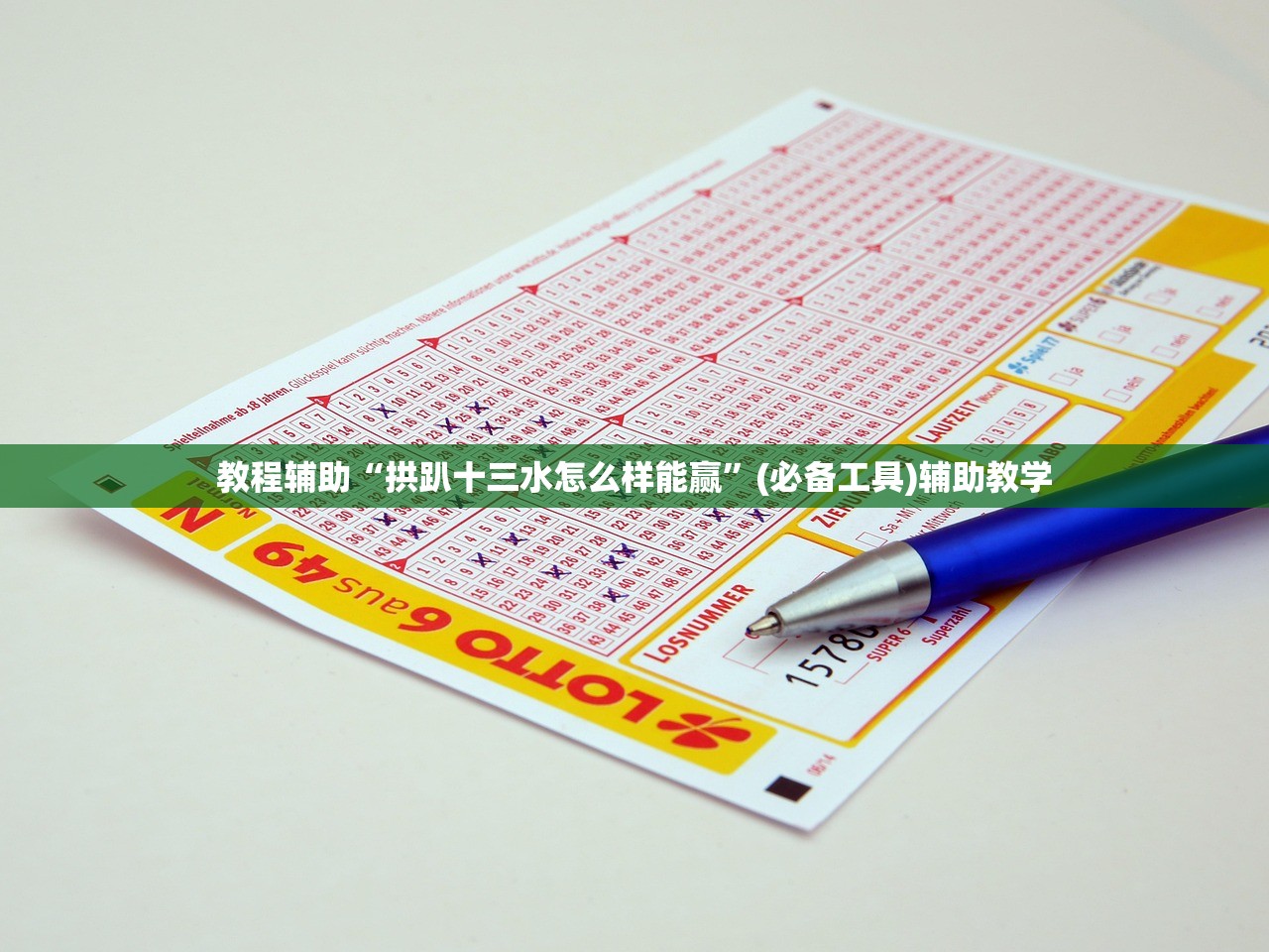 教程辅助“拱趴十三水怎么样能赢	”(必备工具)辅助教学