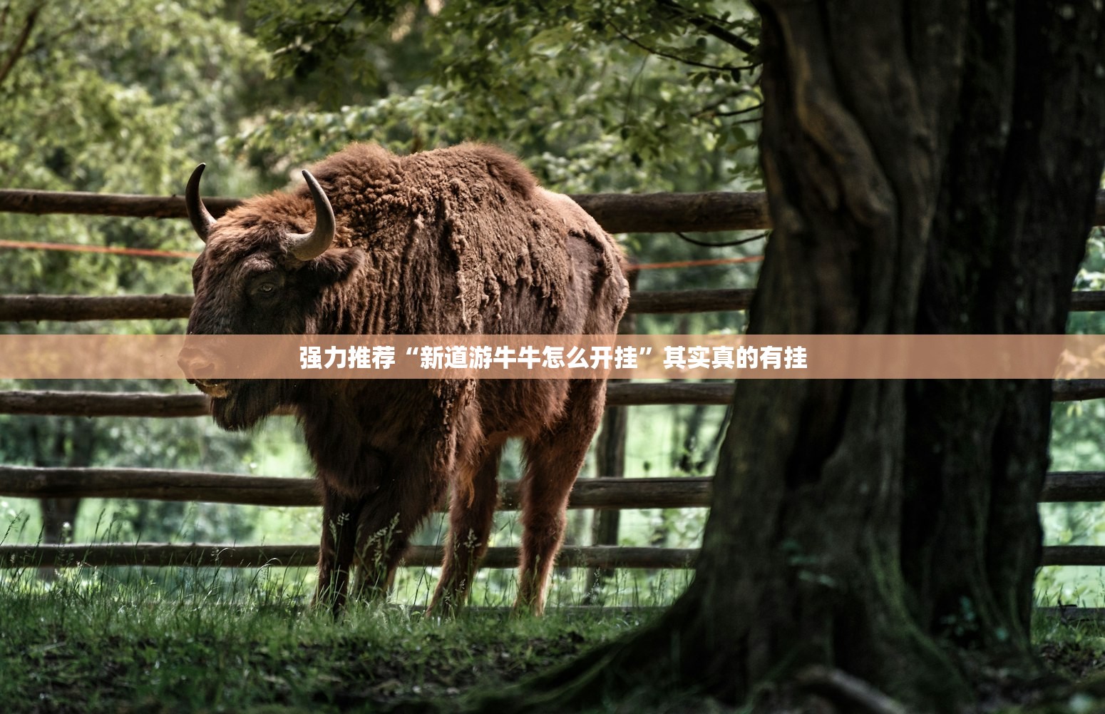强力推荐“新道游牛牛怎么开挂	”其实真的有挂