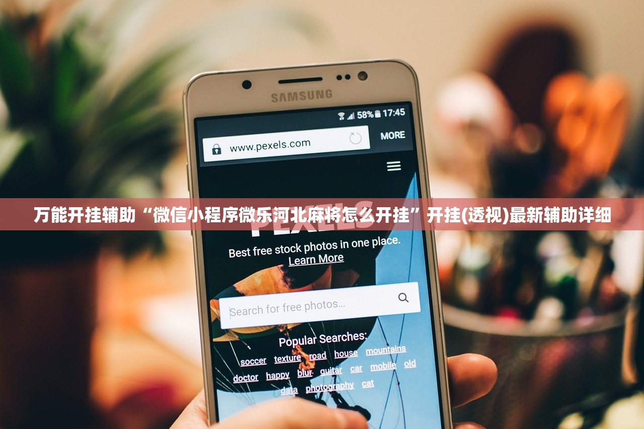 万能开挂辅助“微信小程序微乐河北麻将怎么开挂	”开挂(透视)最新辅助详细