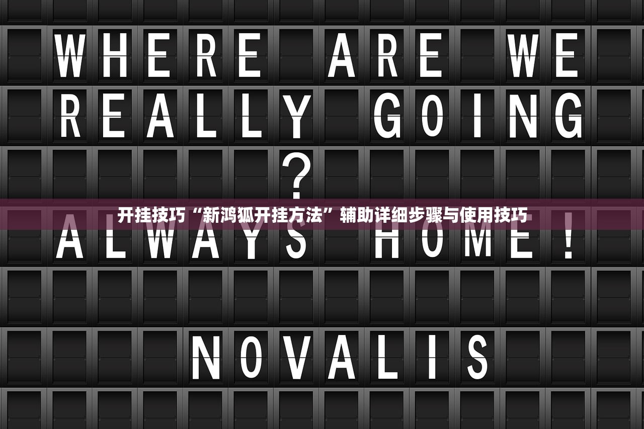 开挂技巧“新鸿狐开挂方法	”辅助详细步骤与使用技巧