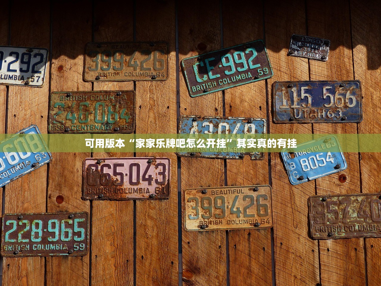 可用版本“家家乐牌吧怎么开挂”其实真的有挂