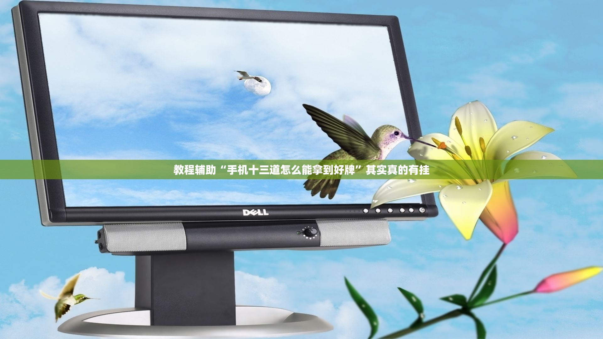 教程辅助“手机十三道怎么能拿到好牌	”其实真的有挂