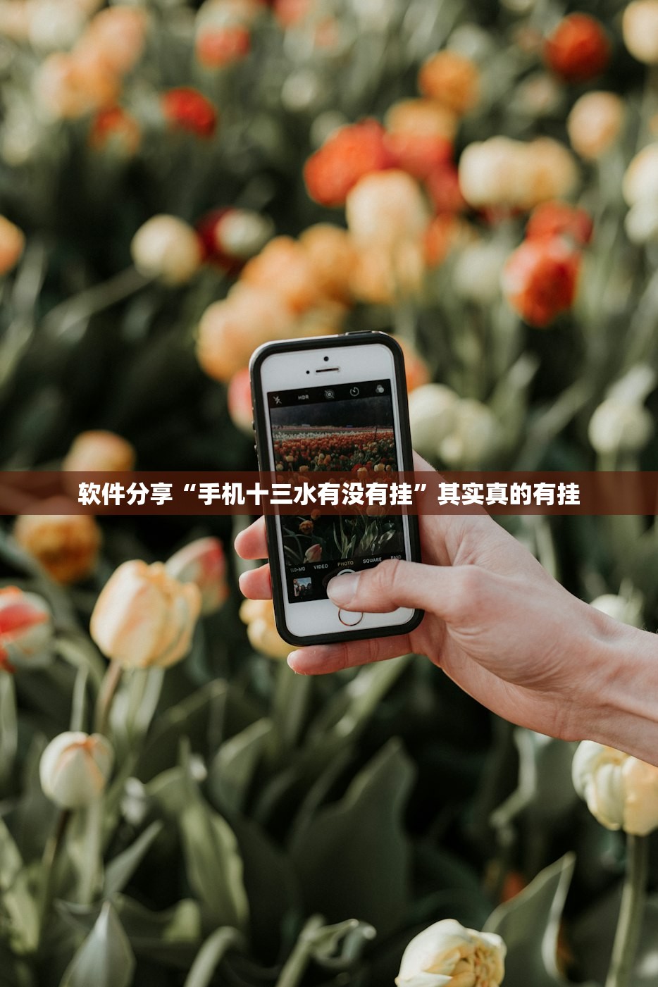 软件分享“手机十三水有没有挂	”其实真的有挂