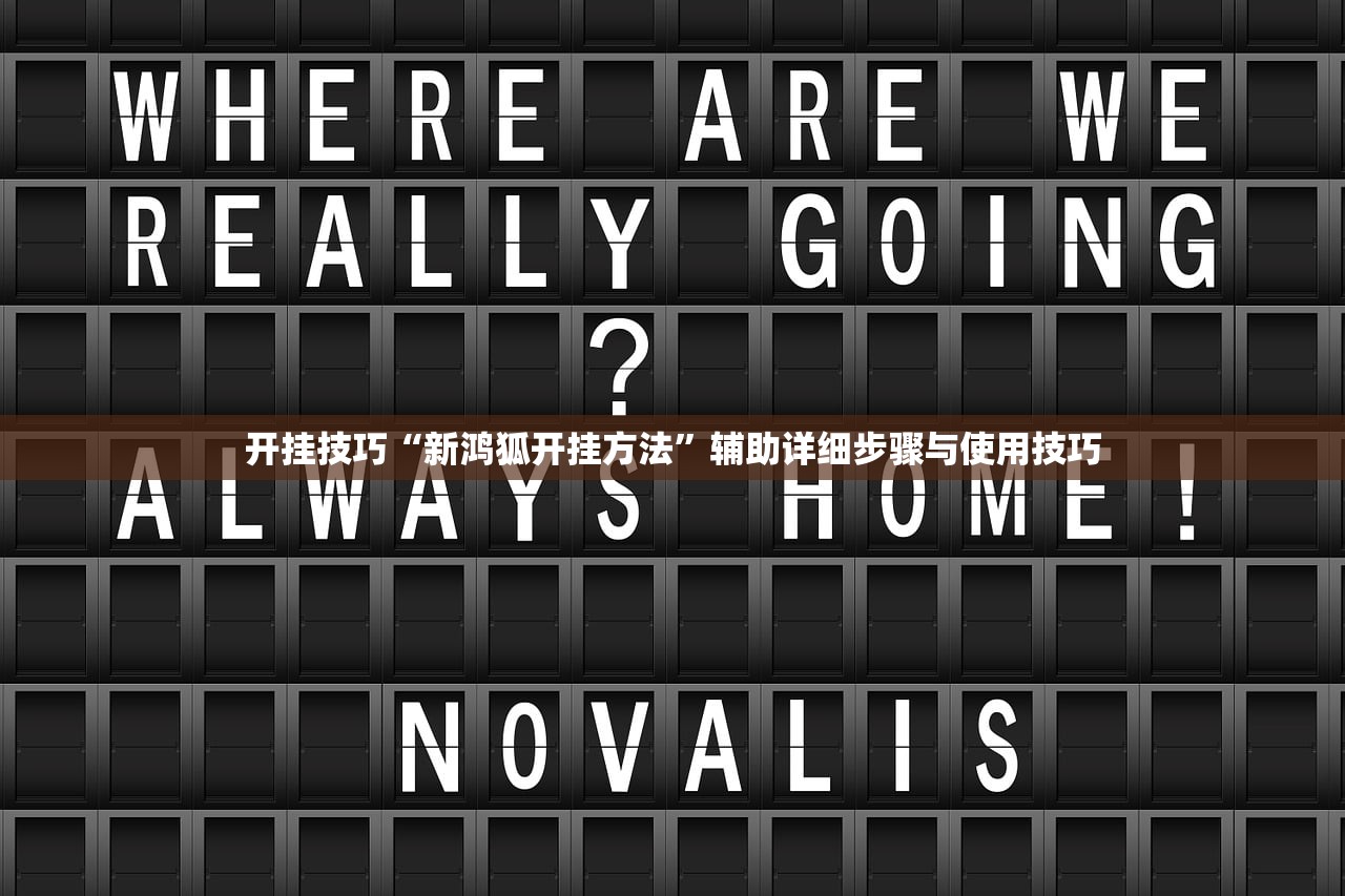 开挂技巧“新鸿狐开挂方法”辅助详细步骤与使用技巧