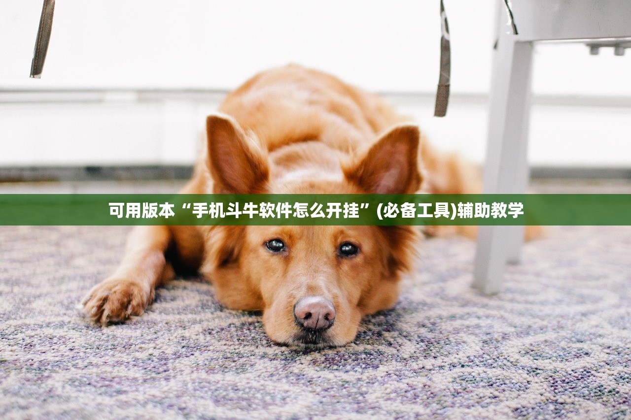 可用版本“手机斗牛软件怎么开挂”(必备工具)辅助教学