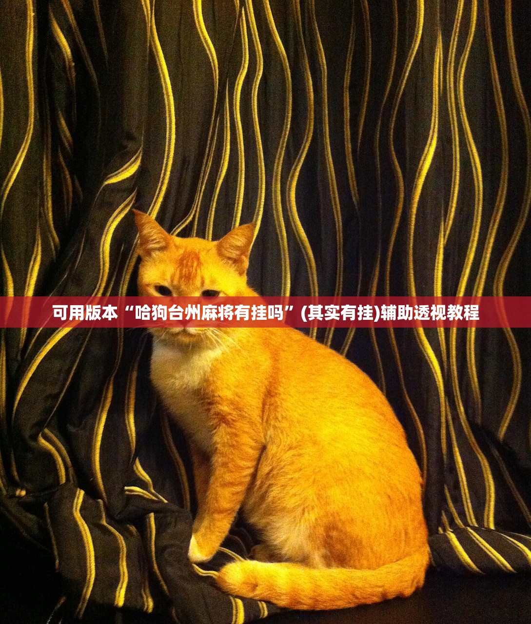 可用版本“哈狗台州麻将有挂吗”(其实有挂)辅助透视教程