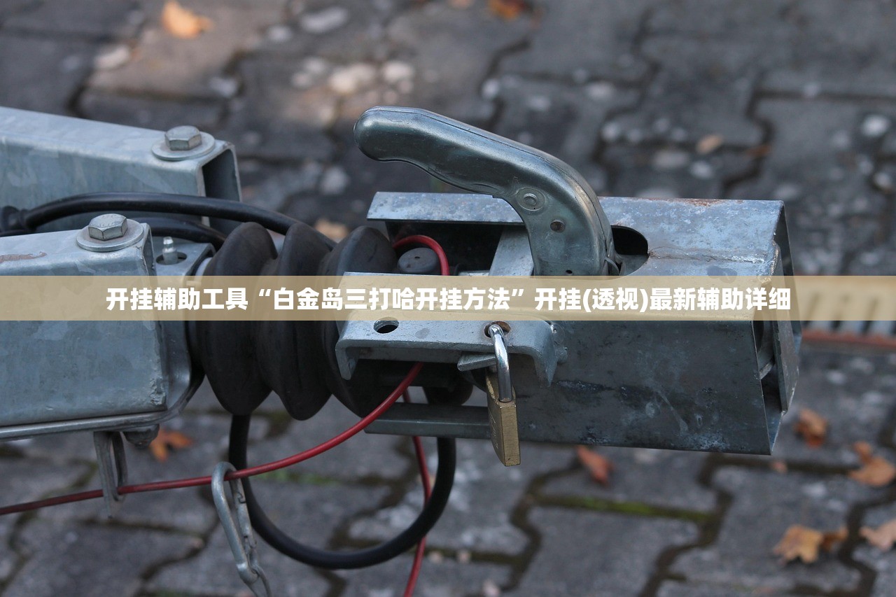 开挂辅助工具“白金岛三打哈开挂方法”开挂(透视)最新辅助详细