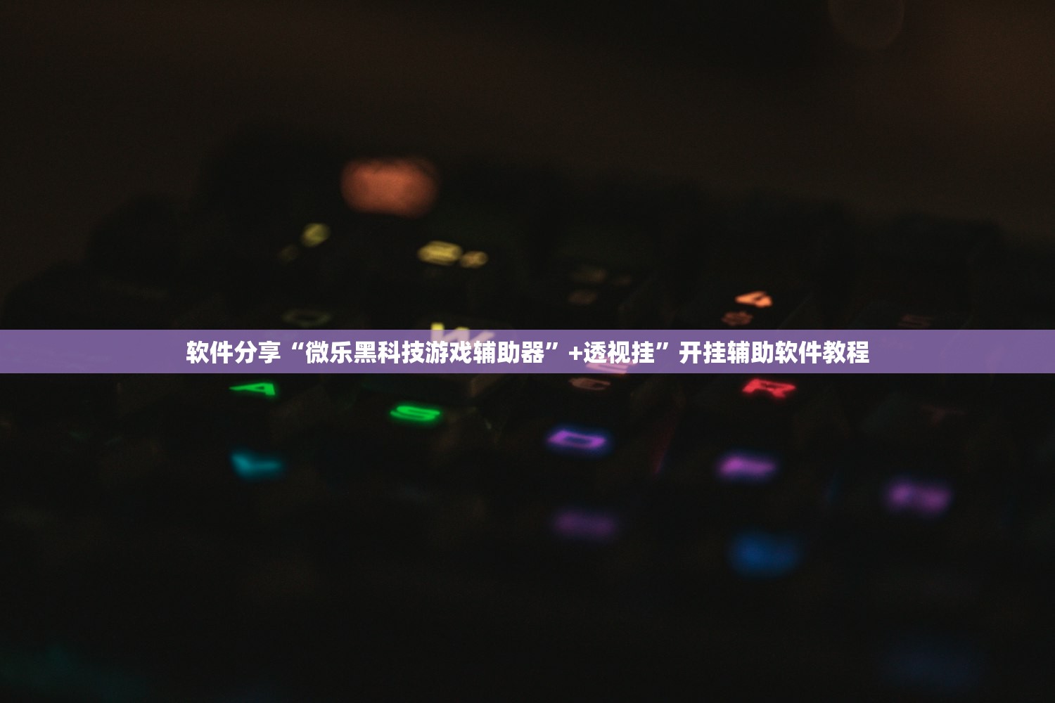 软件分享“微乐黑科技游戏辅助器”+透视挂	”开挂辅助软件教程
