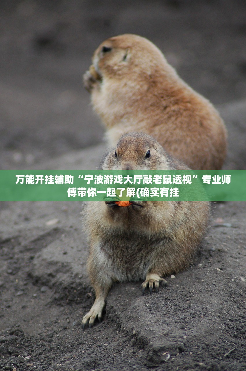 万能开挂辅助“宁波游戏大厅敲老鼠透视	”专业师傅带你一起了解(确实有挂