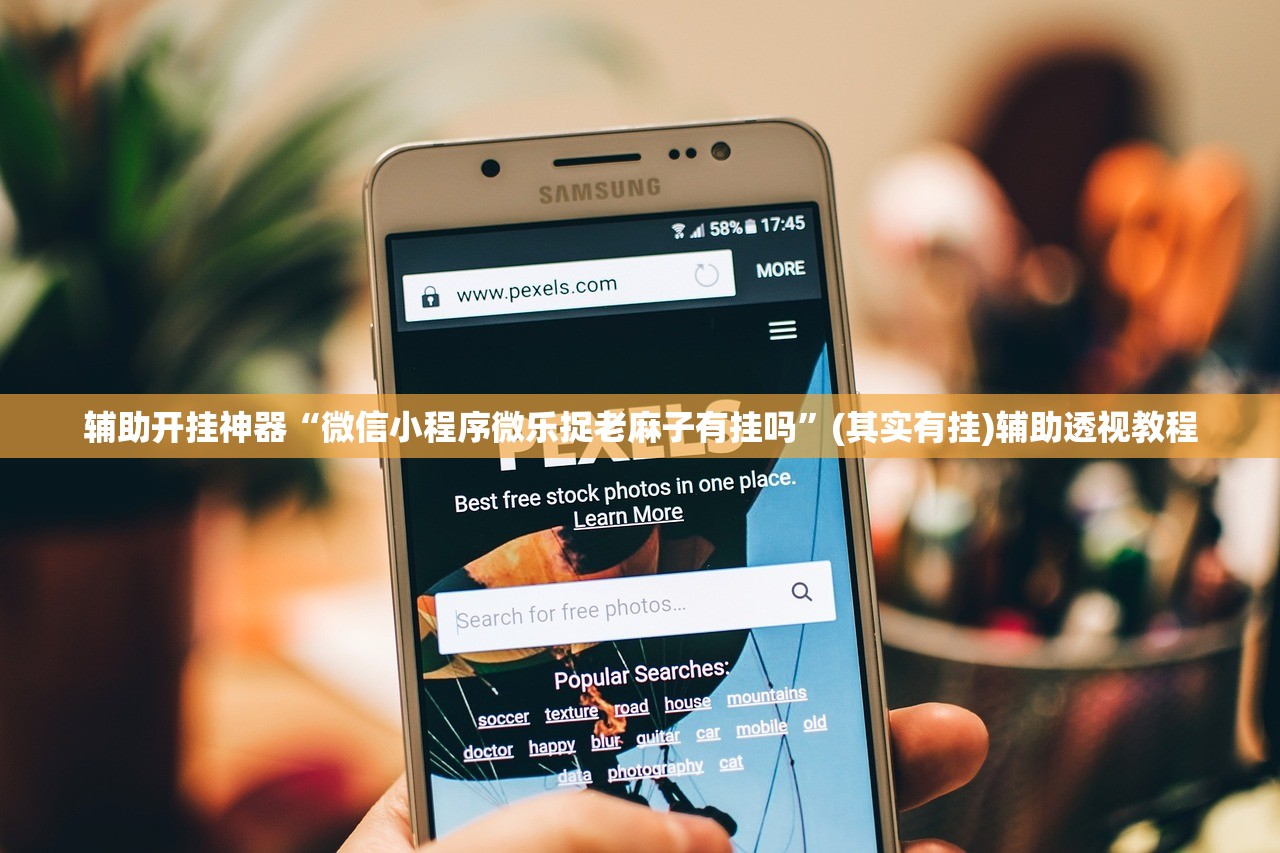辅助开挂神器“微信小程序微乐捉老麻子有挂吗”(其实有挂)辅助透视教程