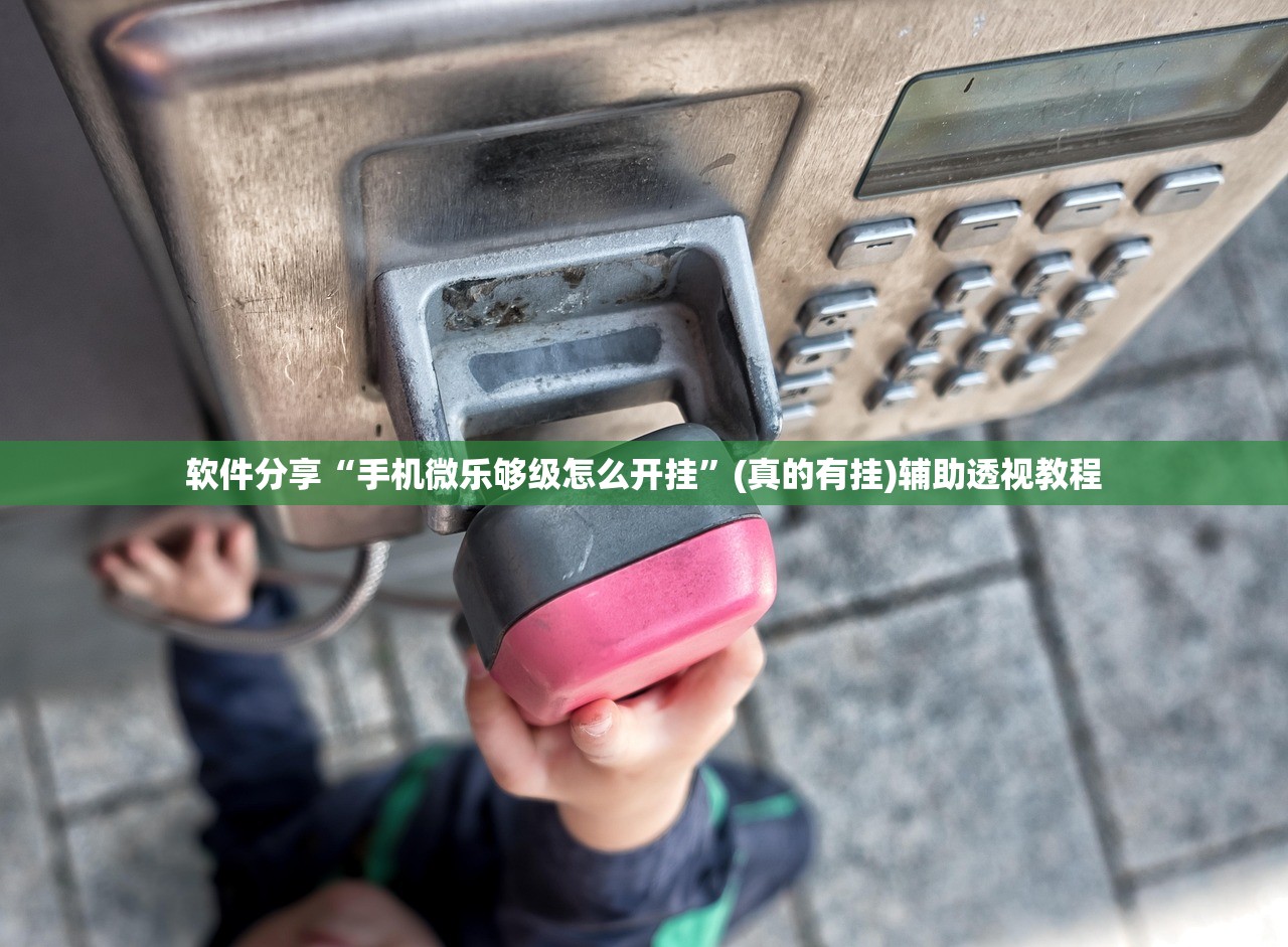 软件分享“手机微乐够级怎么开挂”(真的有挂)辅助透视教程