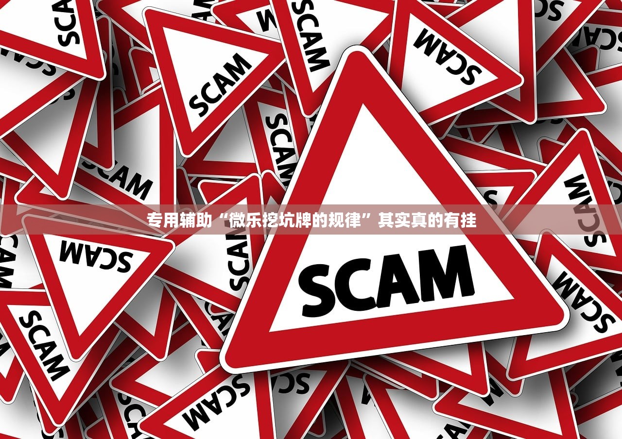 专用辅助“微乐挖坑牌的规律	”其实真的有挂