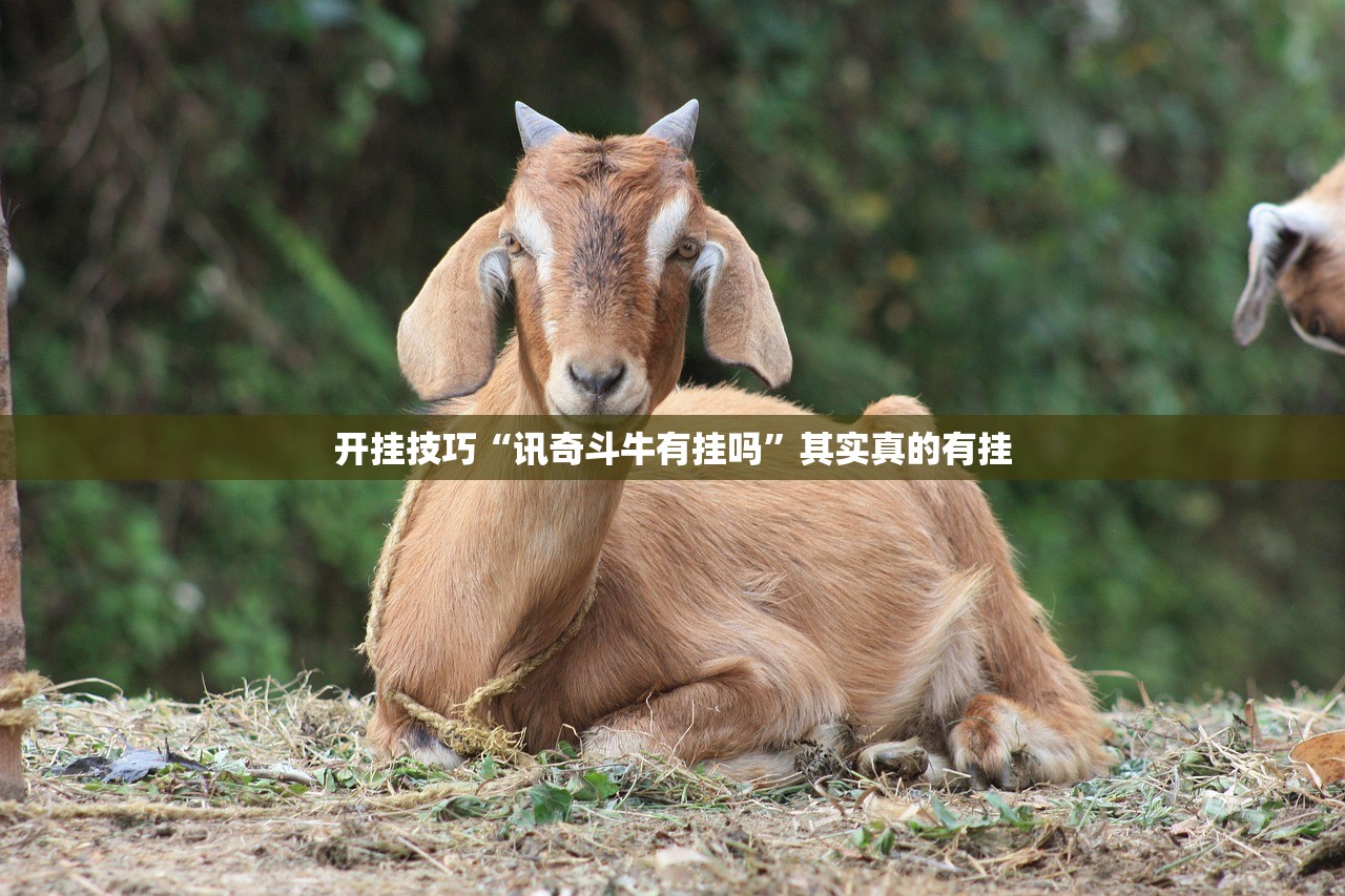开挂技巧“讯奇斗牛有挂吗”其实真的有挂