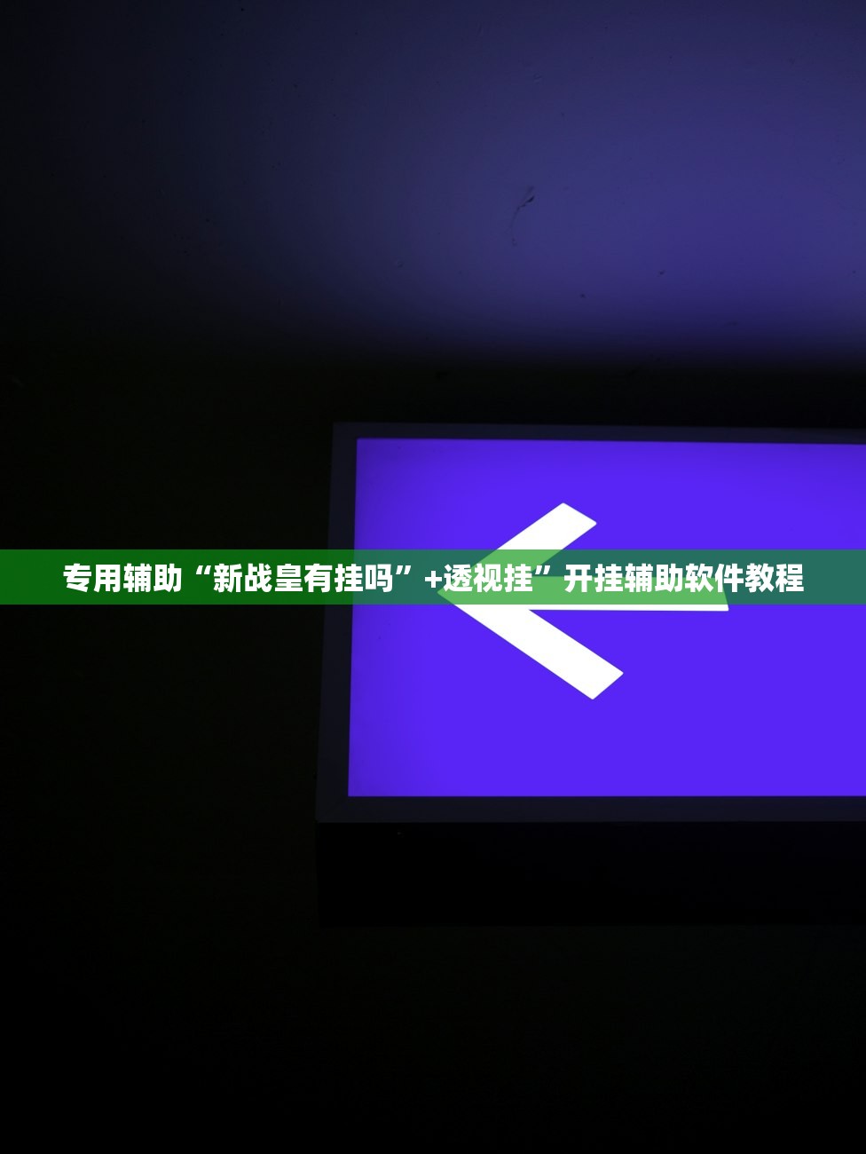 专用辅助“新战皇有挂吗”+透视挂	”开挂辅助软件教程