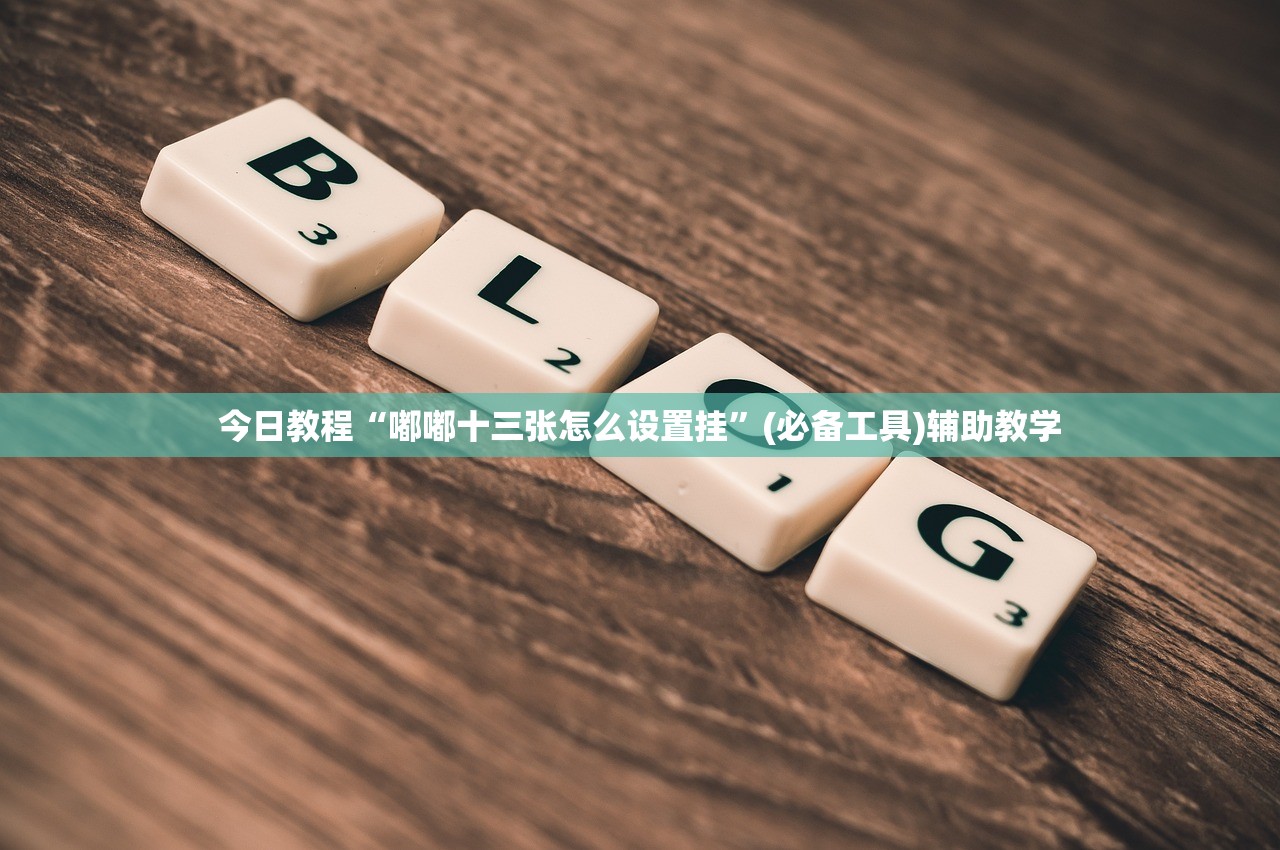 今日教程“嘟嘟十三张怎么设置挂”(必备工具)辅助教学