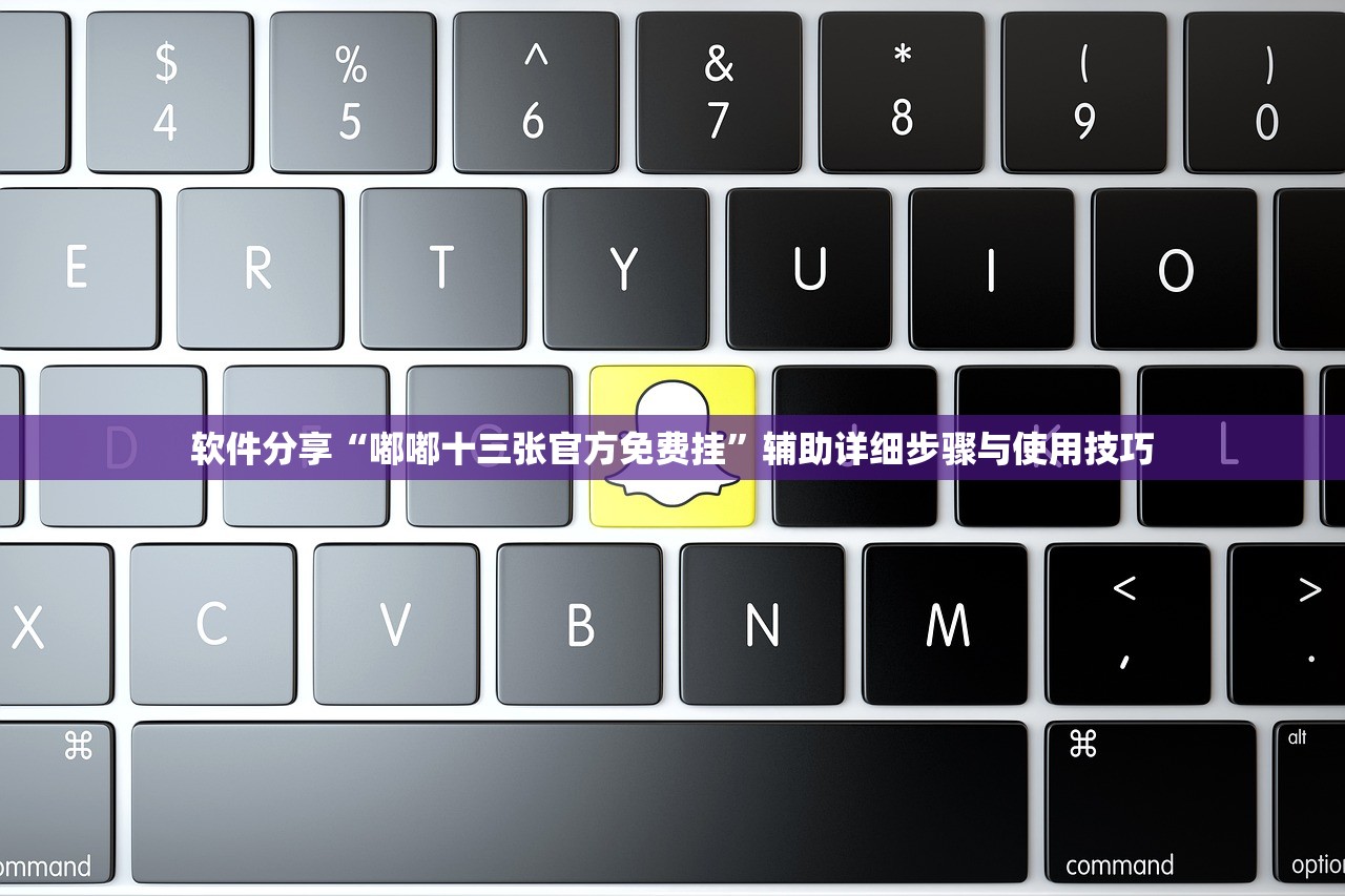 软件分享“嘟嘟十三张官方免费挂”辅助详细步骤与使用技巧