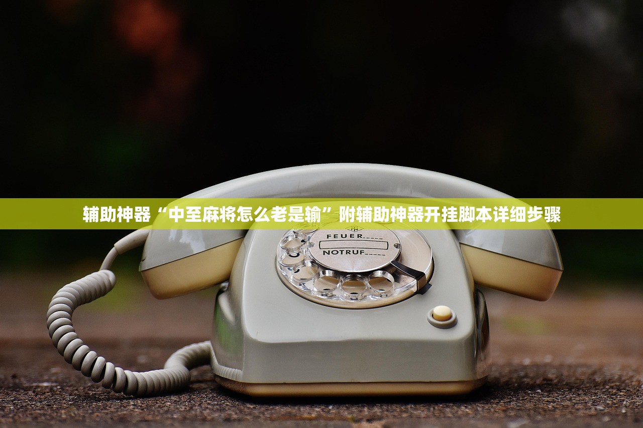 辅助神器“中至麻将怎么老是输”附辅助神器开挂脚本详细步骤