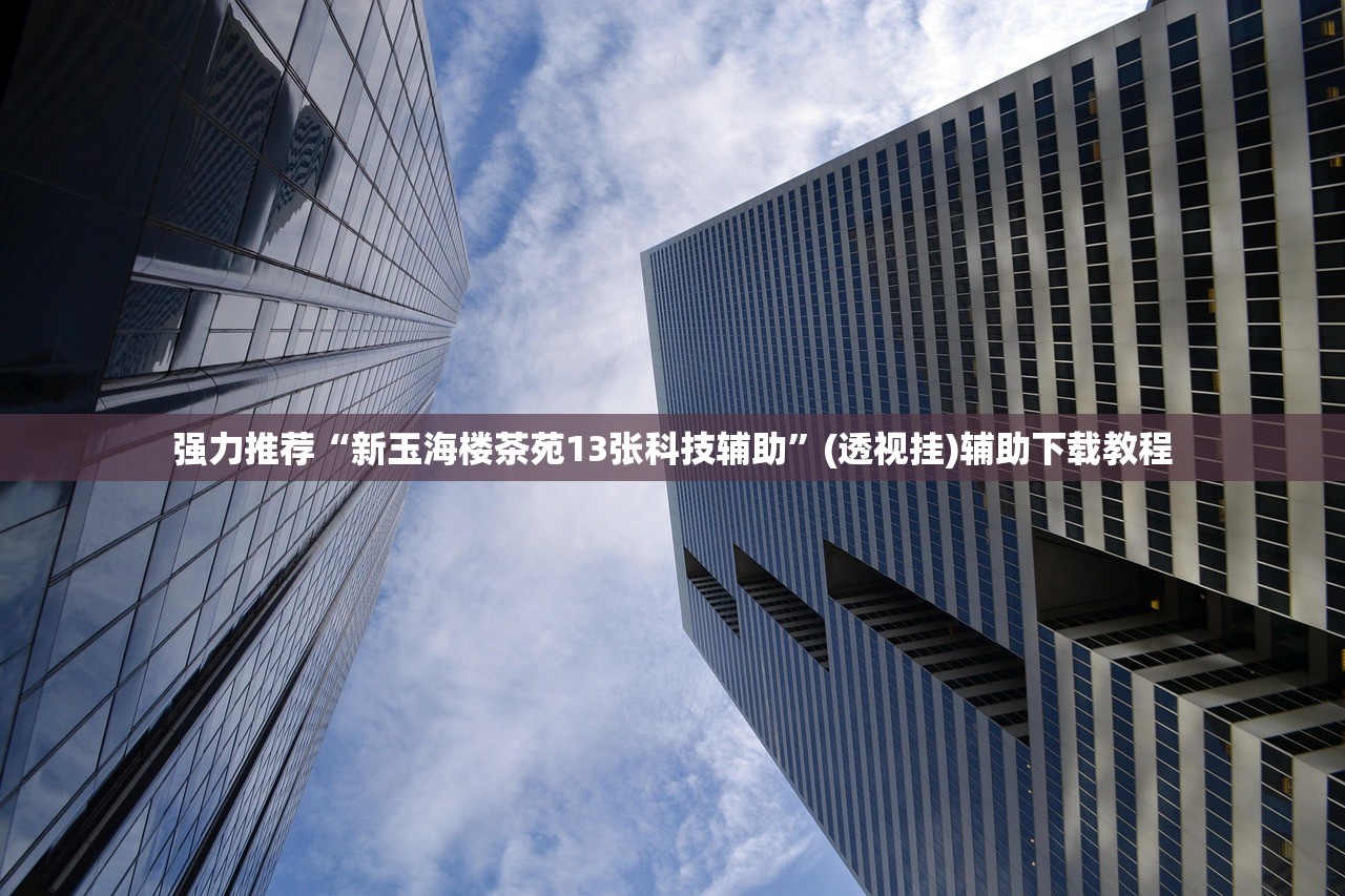 强力推荐“新玉海楼茶苑13张科技辅助”(透视挂)辅助下载教程