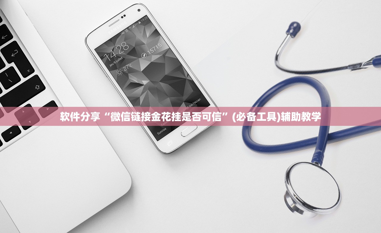 软件分享“微信链接金花挂是否可信”(必备工具)辅助教学