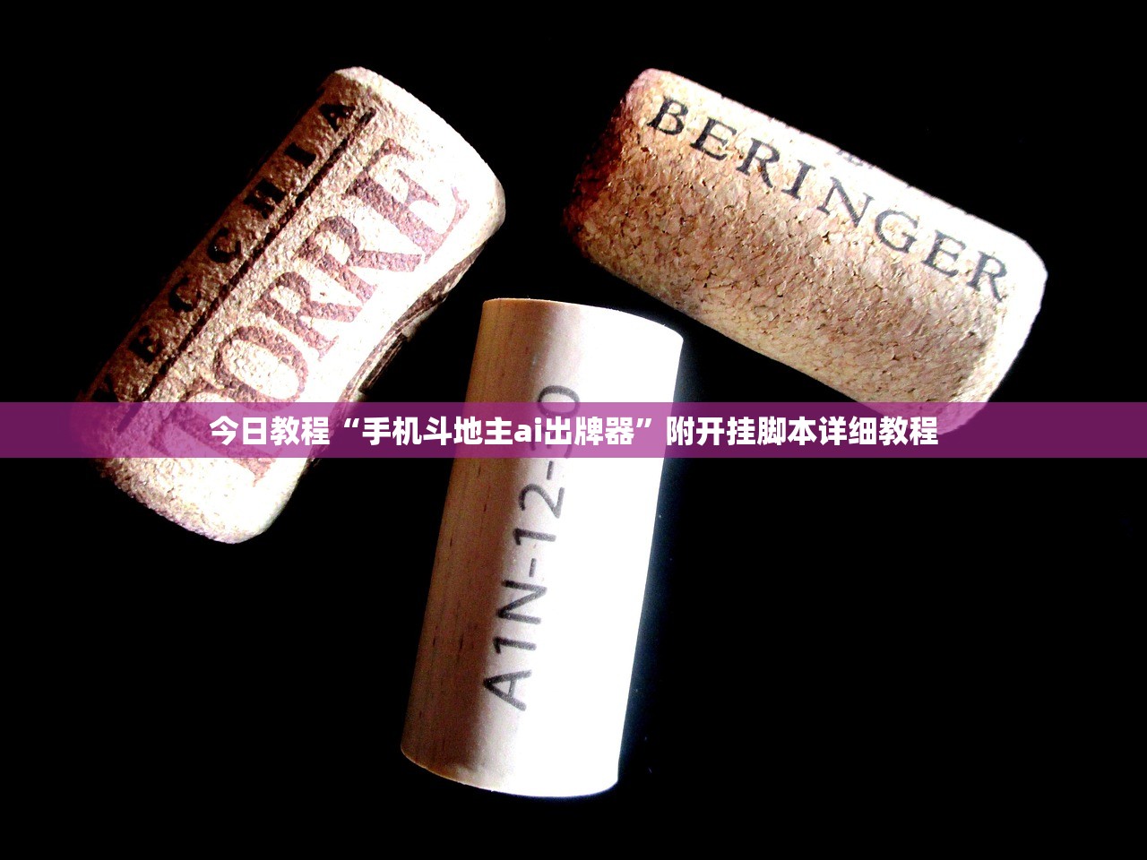 今日教程“手机斗地主ai出牌器”附开挂脚本详细教程