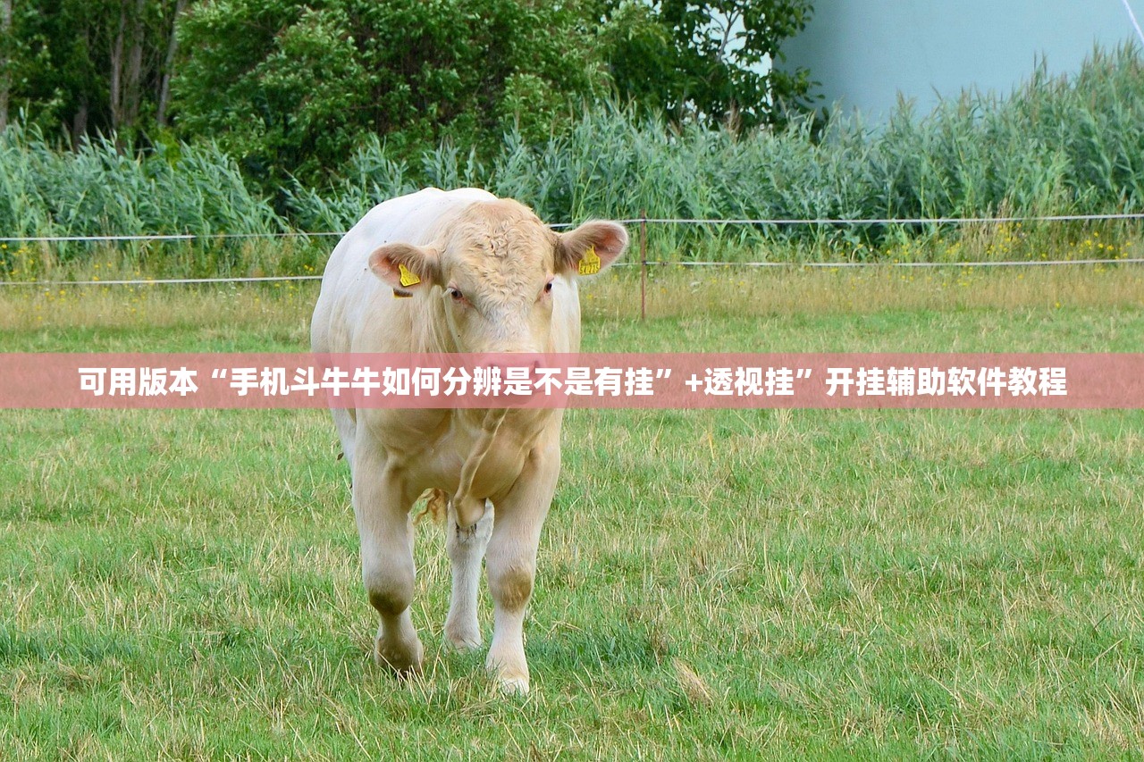 可用版本“手机斗牛牛如何分辨是不是有挂”+透视挂	”开挂辅助软件教程