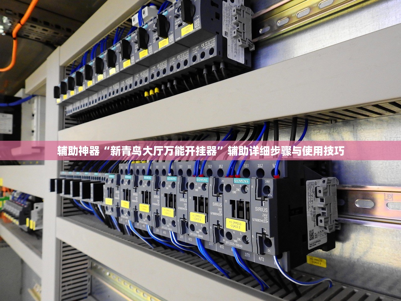 辅助神器“新青鸟大厅万能开挂器”辅助详细步骤与使用技巧