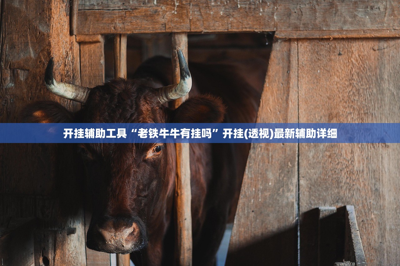 开挂辅助工具“老铁牛牛有挂吗”开挂(透视)最新辅助详细