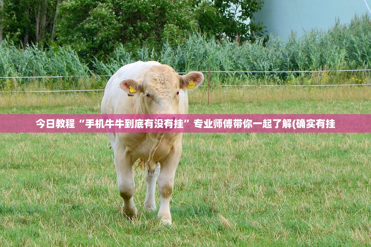 今日教程“手机牛牛到底有没有挂”专业师傅带你一起了解(确实有挂