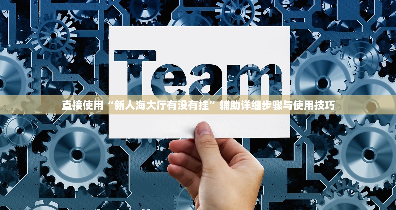 直接使用“新人海大厅有没有挂”辅助详细步骤与使用技巧