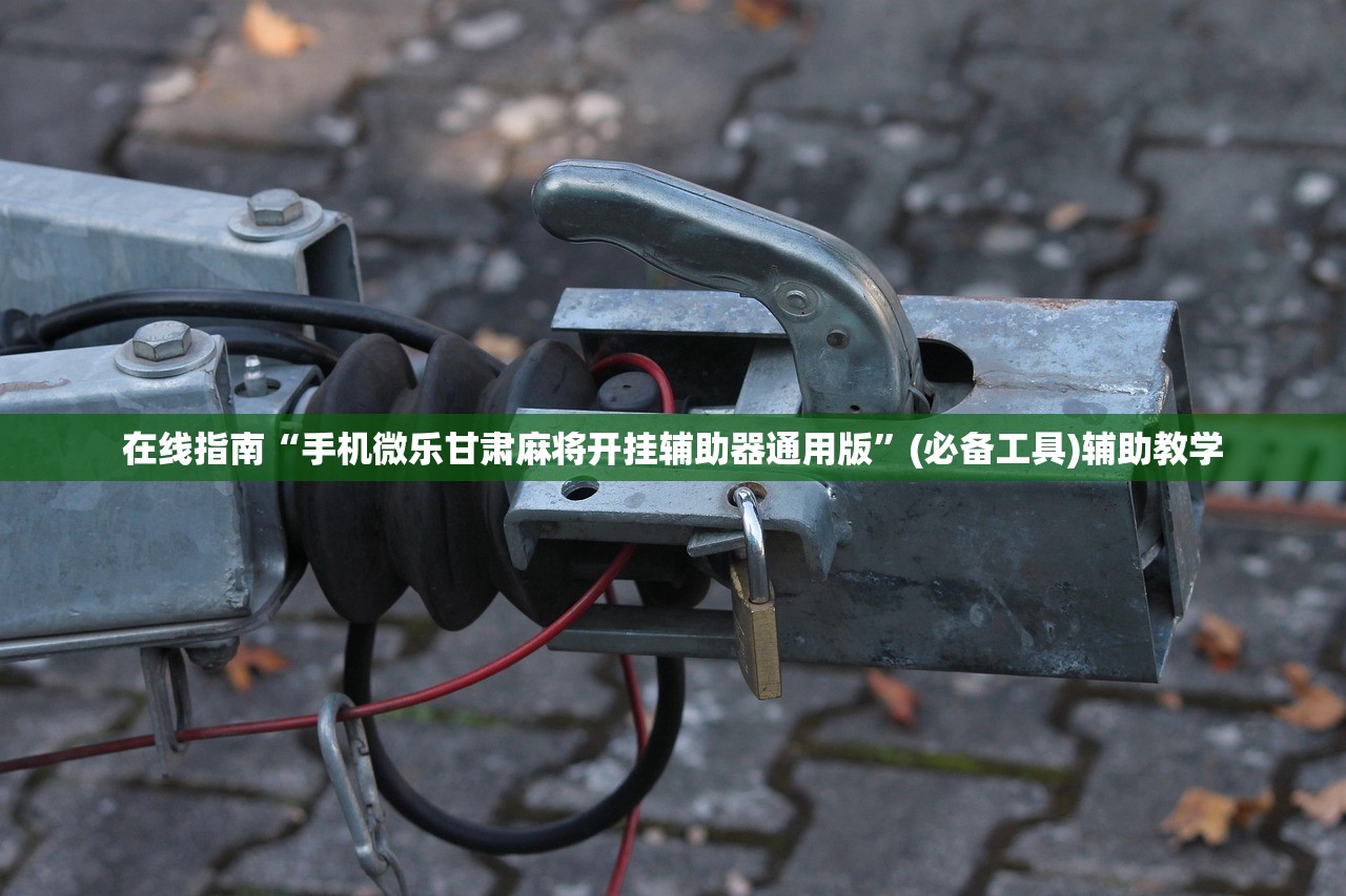 在线指南“手机微乐甘肃麻将开挂辅助器通用版”(必备工具)辅助教学