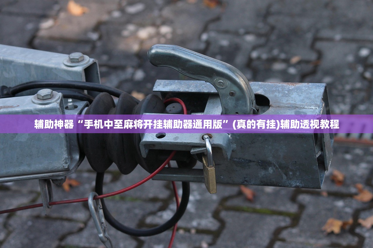 辅助神器“手机中至麻将开挂辅助器通用版”(真的有挂)辅助透视教程