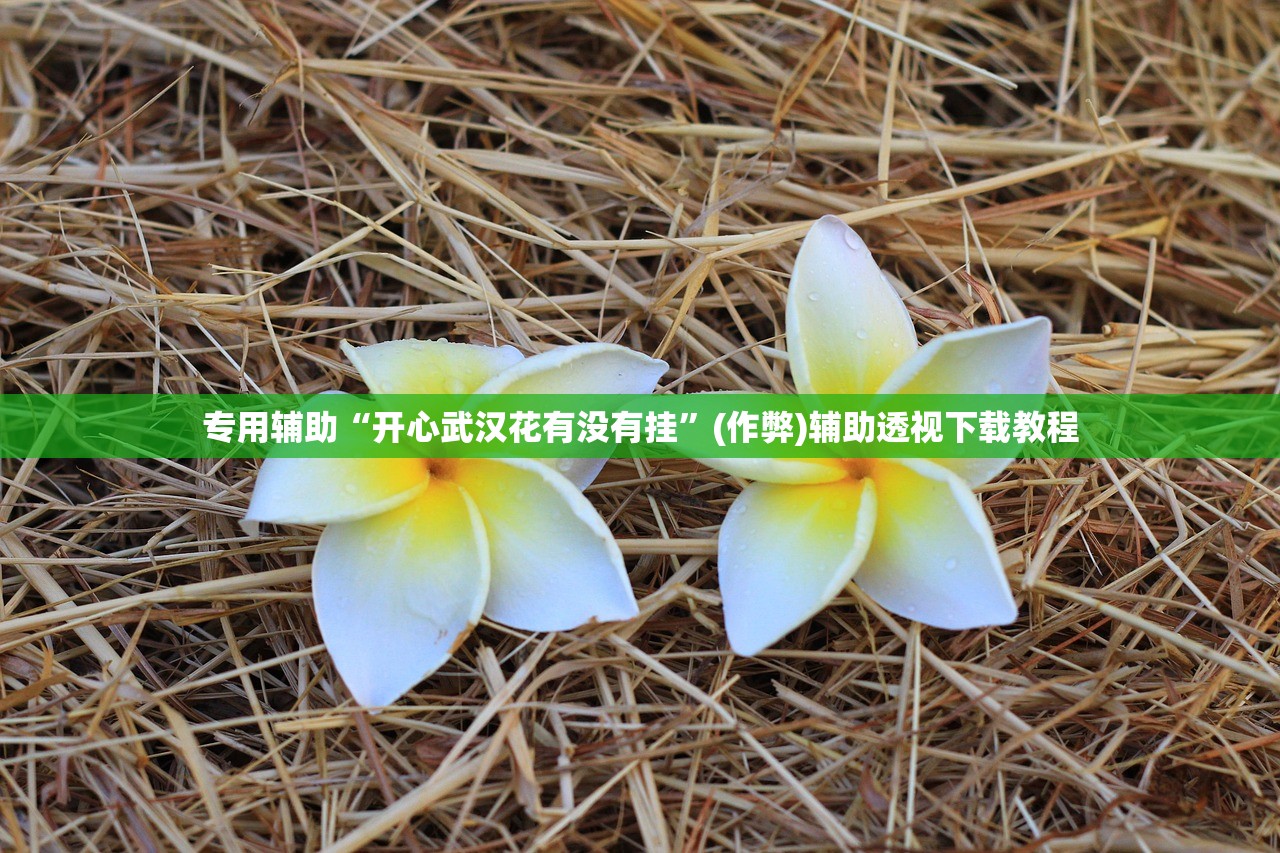 专用辅助“开心武汉花有没有挂	”(作弊)辅助透视下载教程