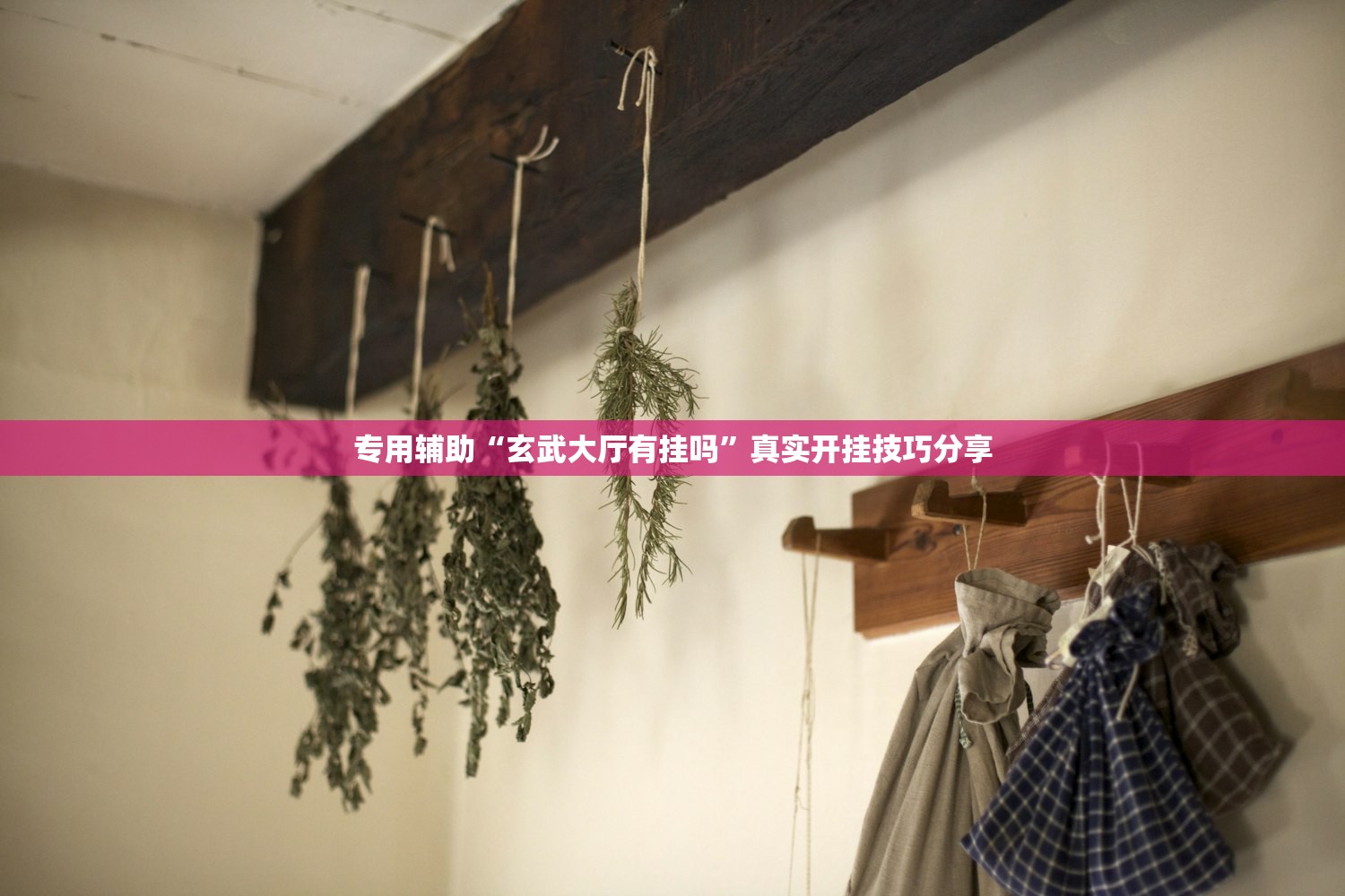 专用辅助“玄武大厅有挂吗”真实开挂技巧分享