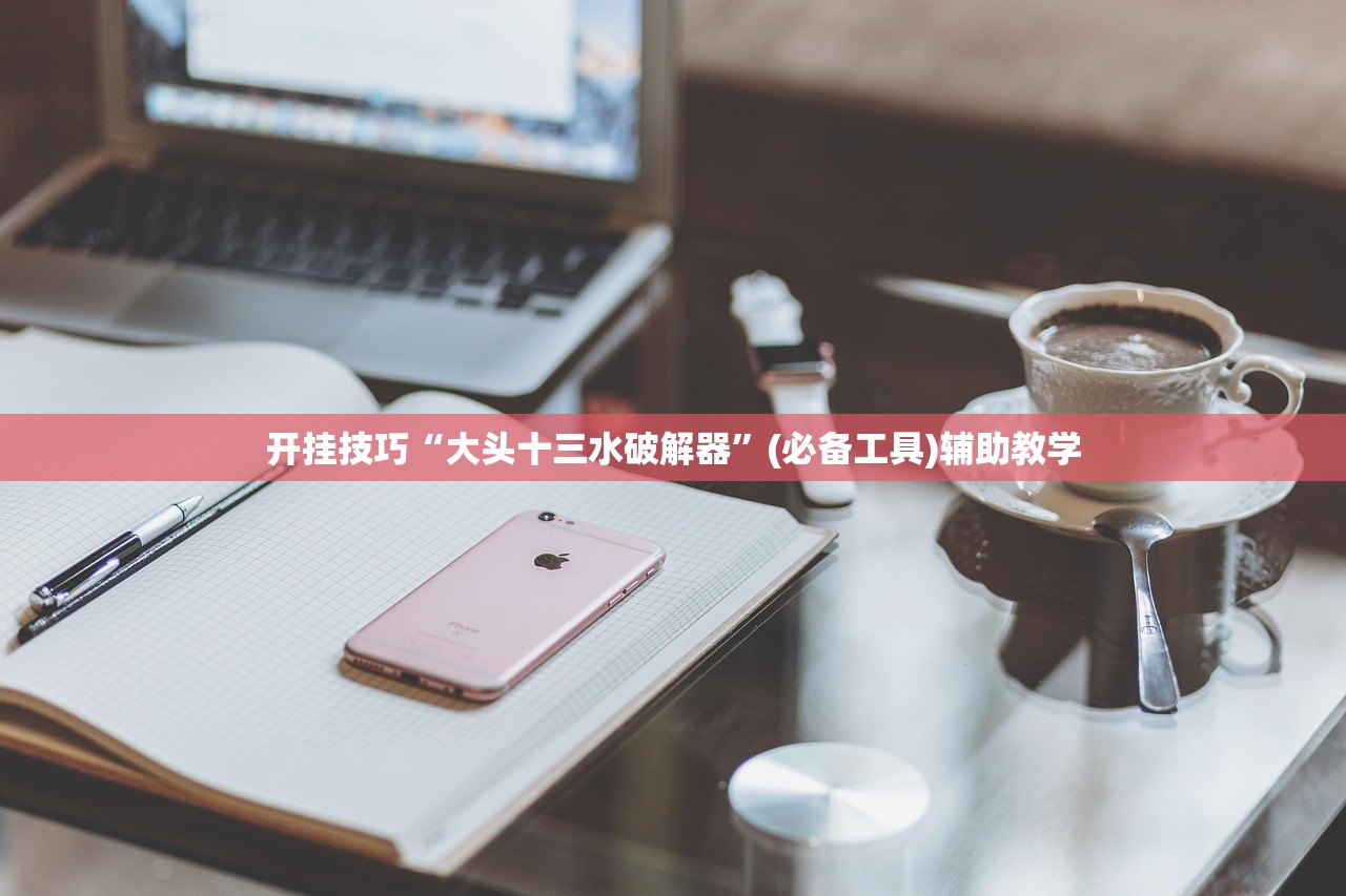 开挂技巧“大头十三水破解器	”(必备工具)辅助教学