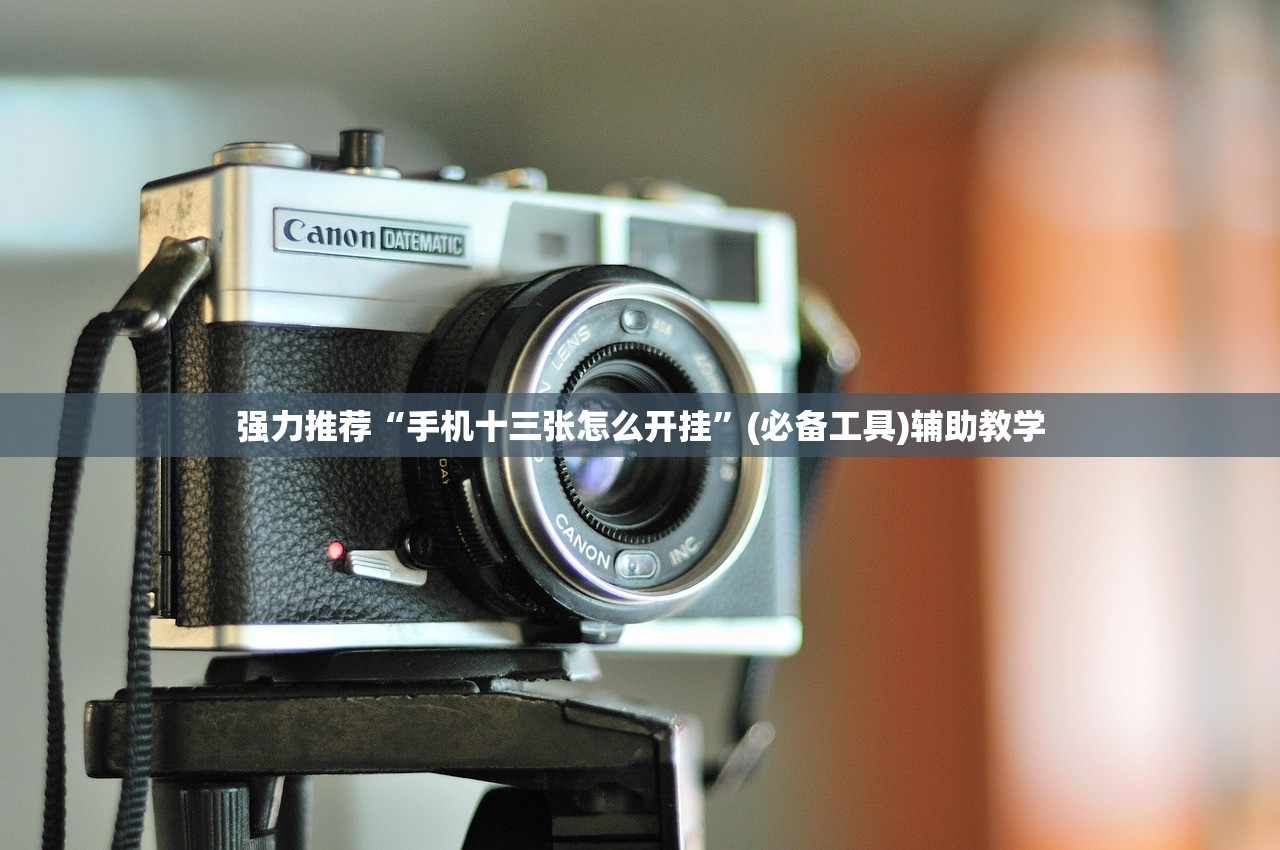 强力推荐“手机十三张怎么开挂	”(必备工具)辅助教学