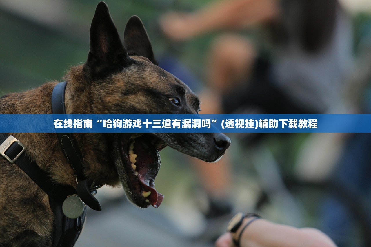 在线指南“哈狗游戏十三道有漏洞吗”(透视挂)辅助下载教程