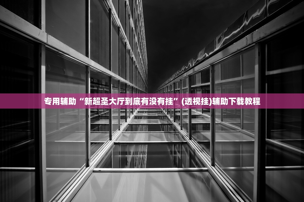 专用辅助“新超圣大厅到底有没有挂	”(透视挂)辅助下载教程