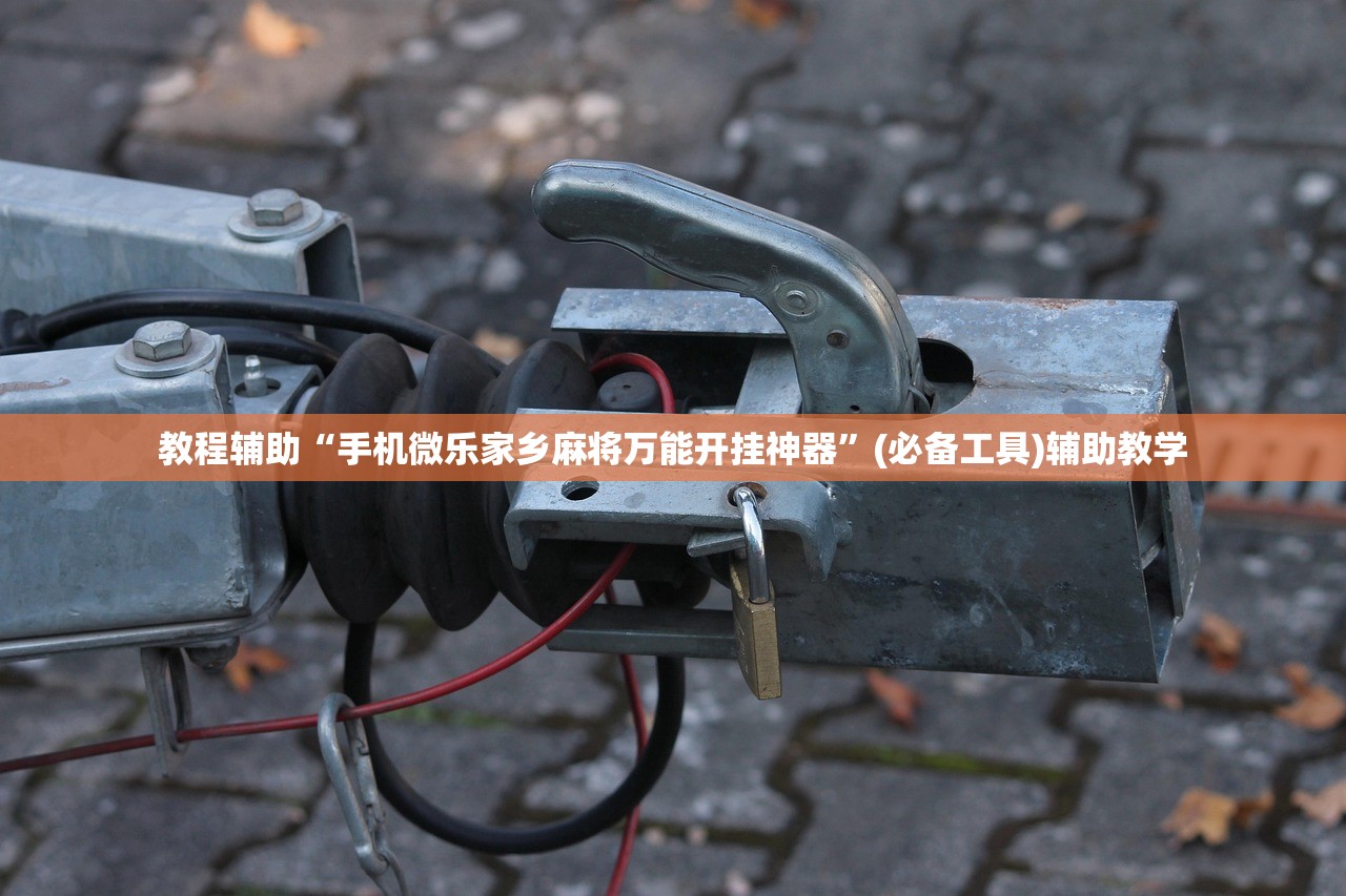 教程辅助“手机微乐家乡麻将万能开挂神器”(必备工具)辅助教学