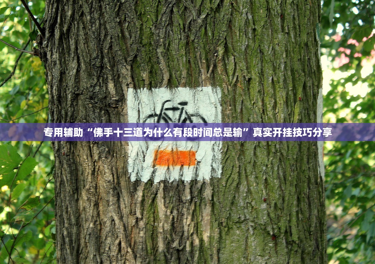 专用辅助“佛手十三道为什么有段时间总是输	”真实开挂技巧分享