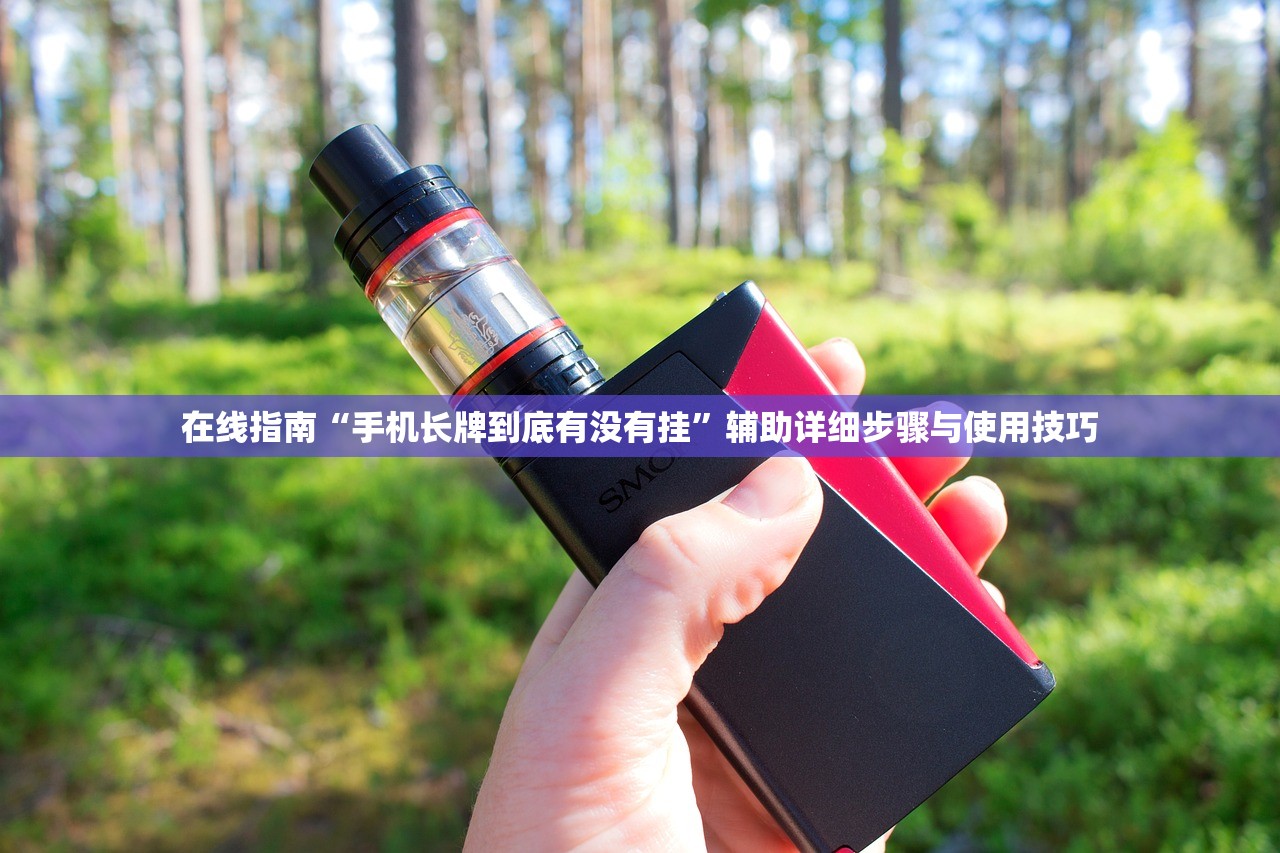 在线指南“手机长牌到底有没有挂	”辅助详细步骤与使用技巧