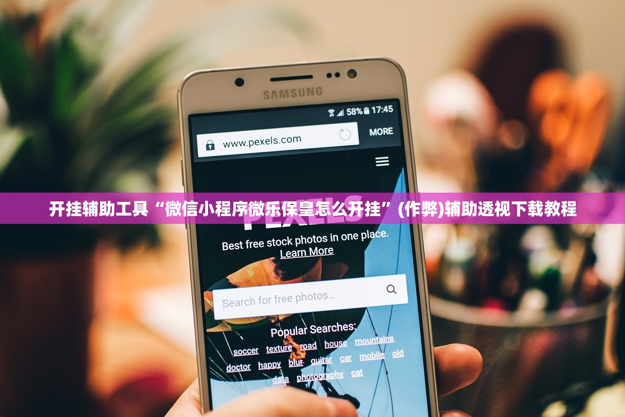 开挂辅助工具“微信小程序微乐保皇怎么开挂	”(作弊)辅助透视下载教程