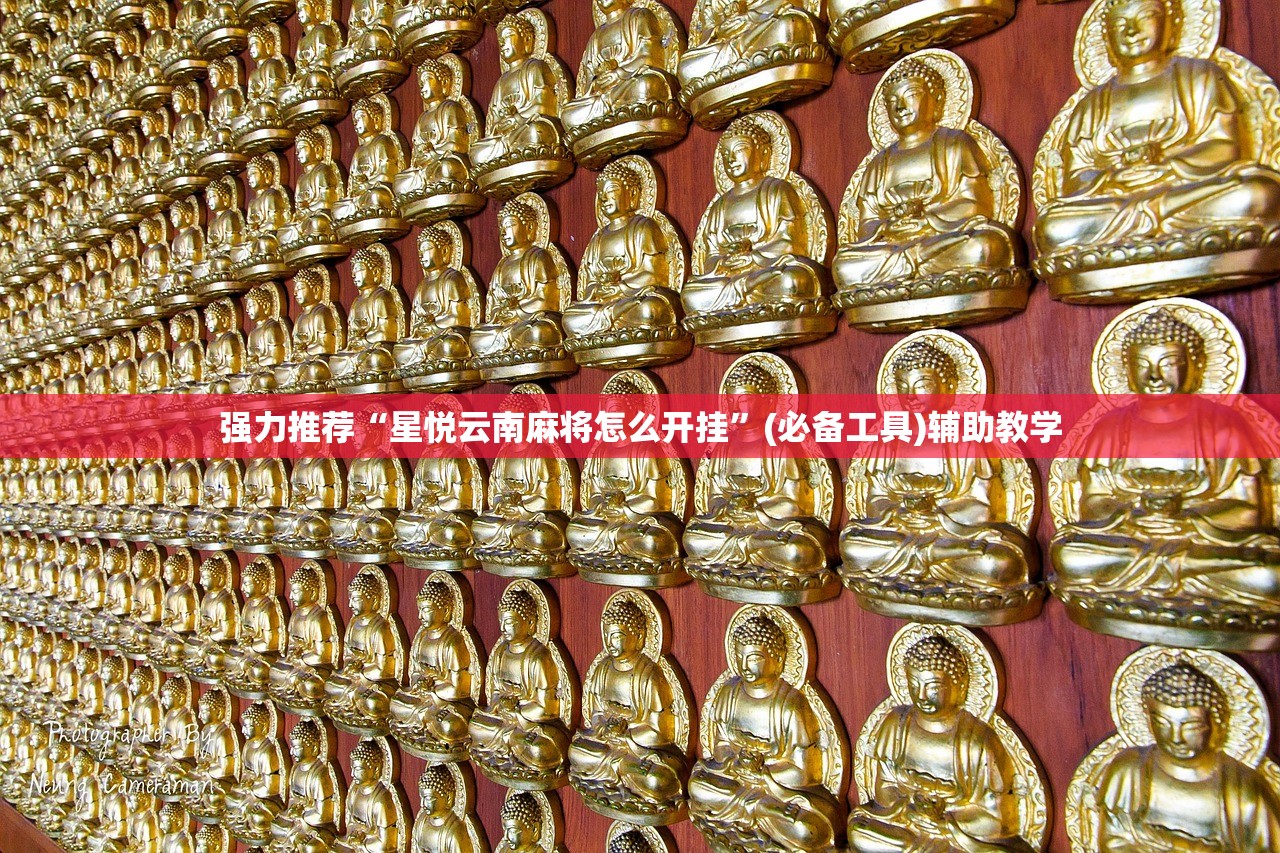 强力推荐“星悦云南麻将怎么开挂	”(必备工具)辅助教学