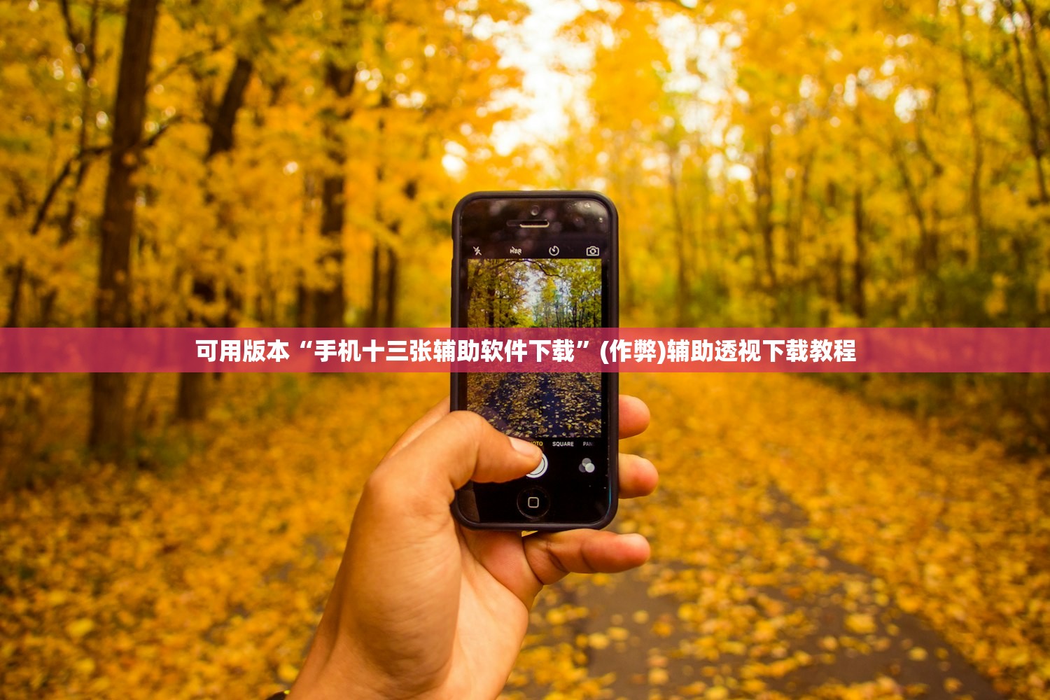 可用版本“手机十三张辅助软件下载”(作弊)辅助透视下载教程