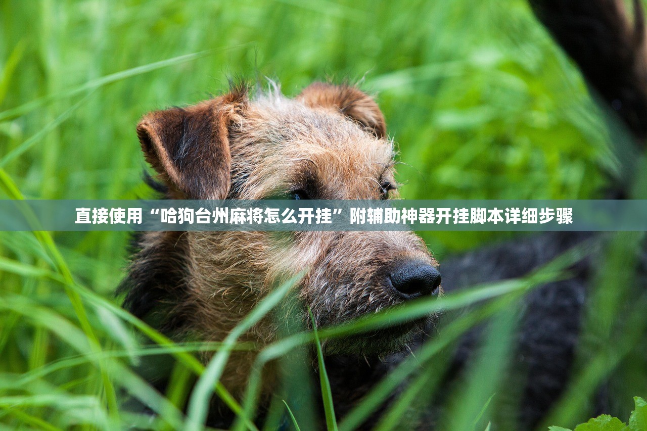直接使用“哈狗台州麻将怎么开挂	”附辅助神器开挂脚本详细步骤