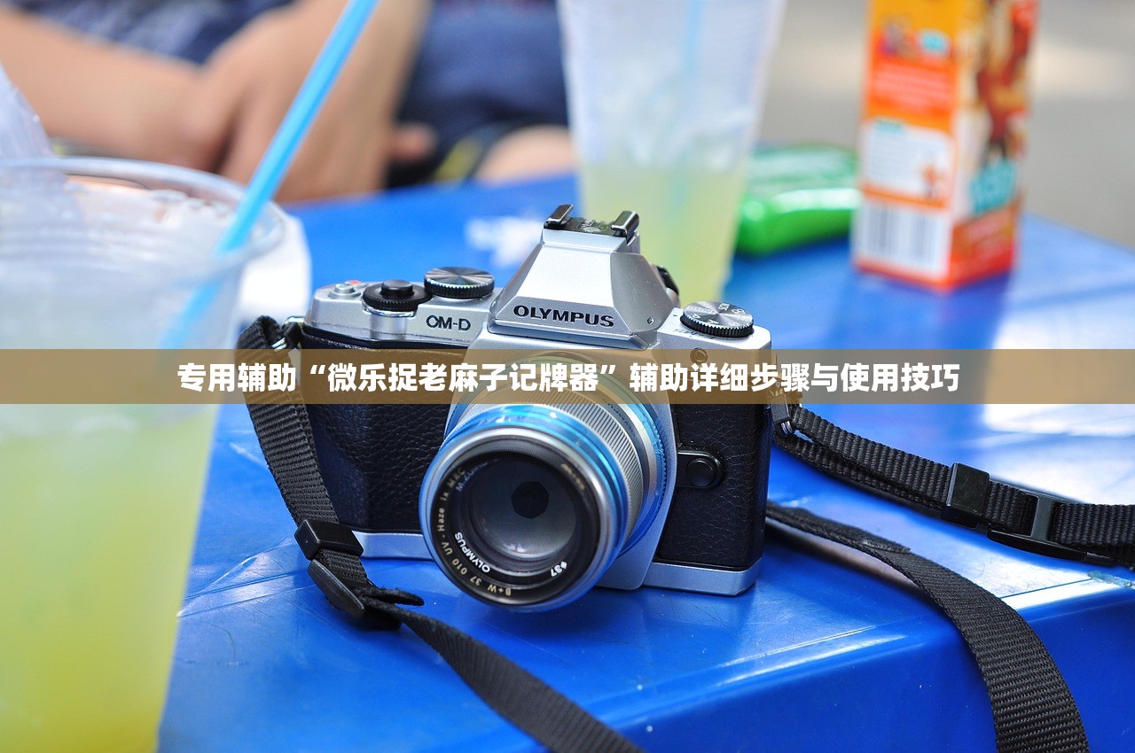专用辅助“微乐捉老麻子记牌器	”辅助详细步骤与使用技巧