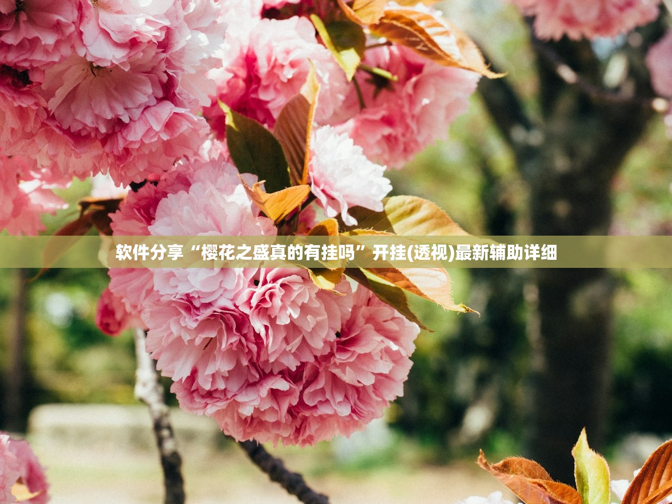 软件分享“樱花之盛真的有挂吗	”开挂(透视)最新辅助详细