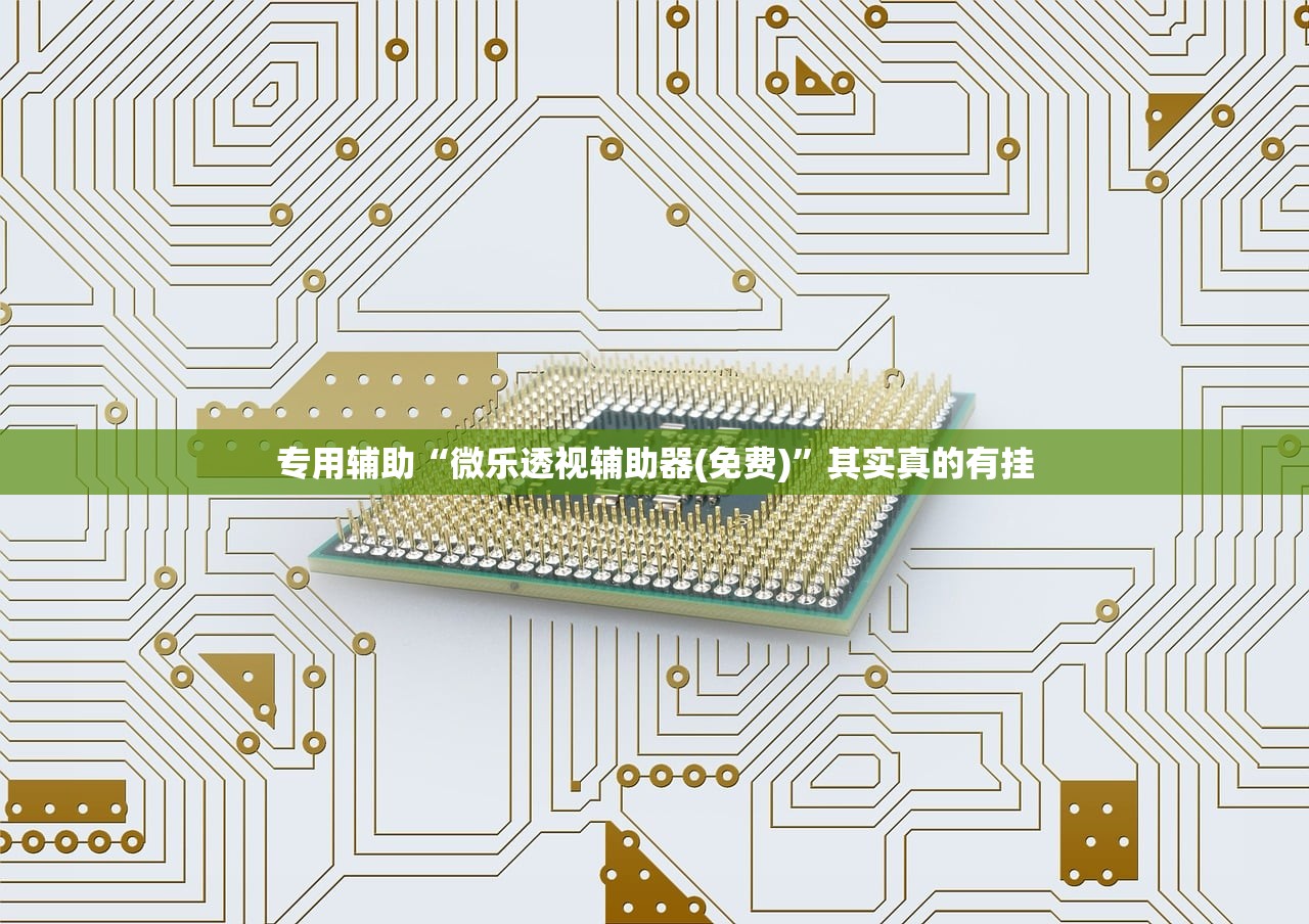 专用辅助“微乐透视辅助器(免费)”其实真的有挂