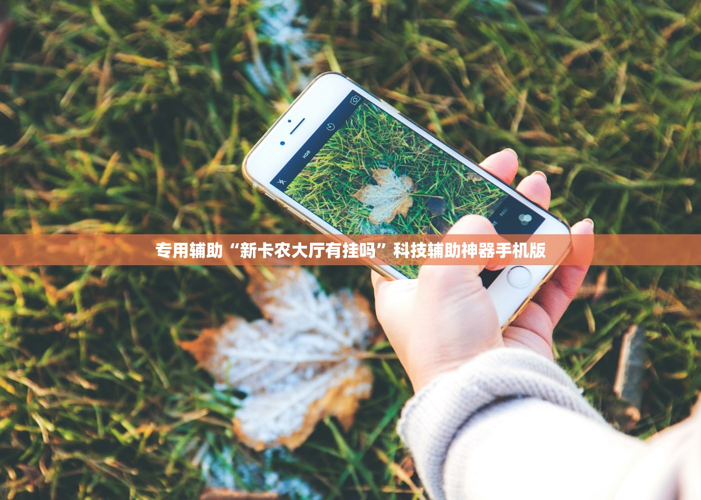 专用辅助“新卡农大厅有挂吗	”科技辅助神器手机版