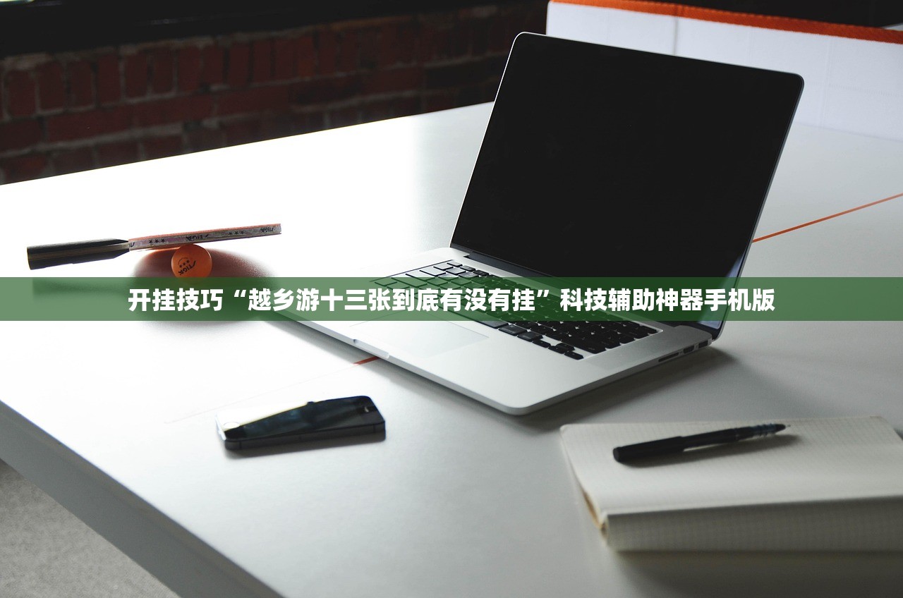 开挂技巧“越乡游十三张到底有没有挂	”科技辅助神器手机版